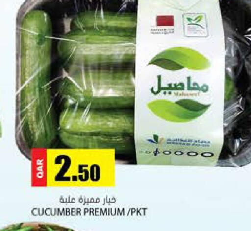Cucumber available at Grand Hypermarket in Qatar - Al Daayen