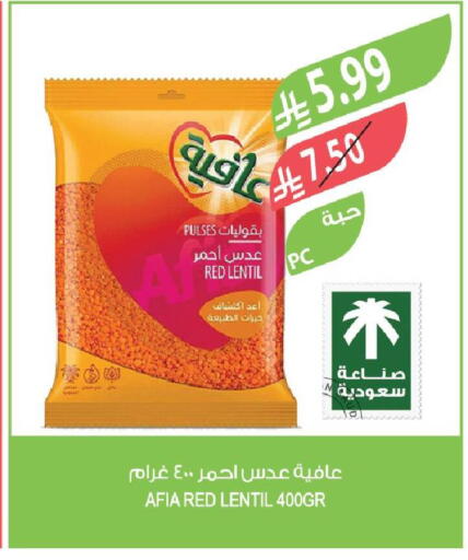 available at Farm  in KSA, Saudi Arabia, Saudi - Arar