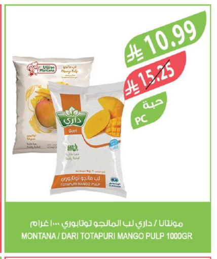Mango available at Farm  in KSA, Saudi Arabia, Saudi - Najran