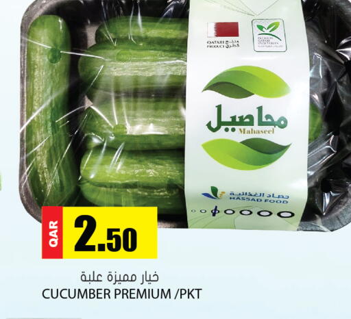 Cucumber from Qatar available at Grand Hypermarket in Qatar - Umm Salal