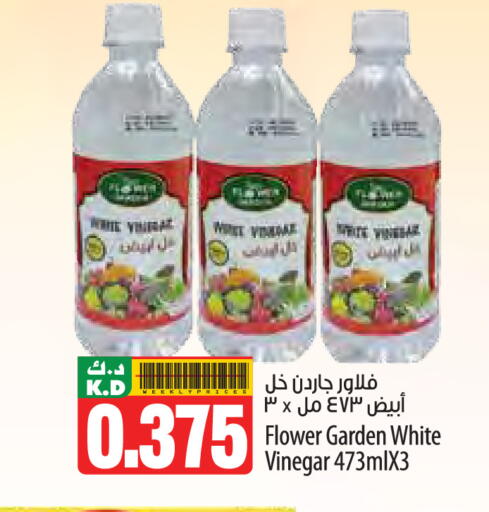 Mango available at مانجو هايبرماركت in الكويت - محافظة الجهراء