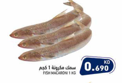 available at Ramez in Kuwait - Jahra Governorate