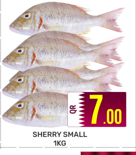 available at Majlis Hypermarket in Qatar - Al Rayyan