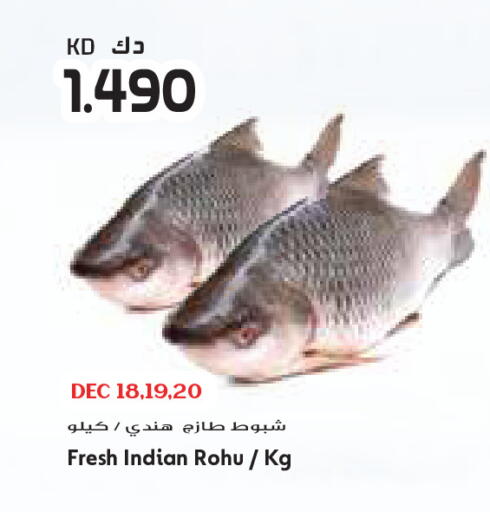 available at Grand Costo in Kuwait - Kuwait City