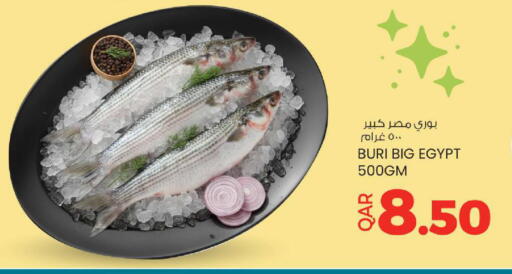 available at أنصار جاليري in قطر - الخور