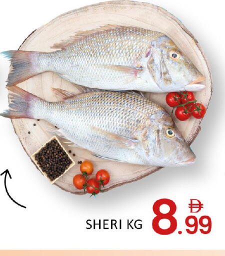 Mango available at Mango Hypermarket LLC in UAE - Dubai