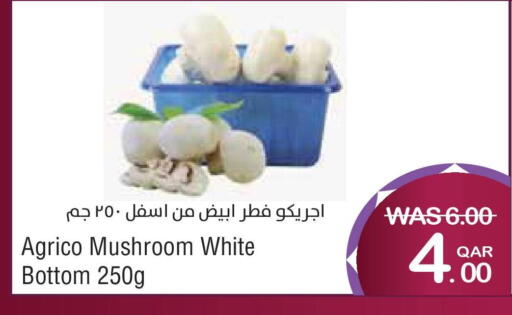 Mushroom available at Megamart in Qatar - Al Rayyan