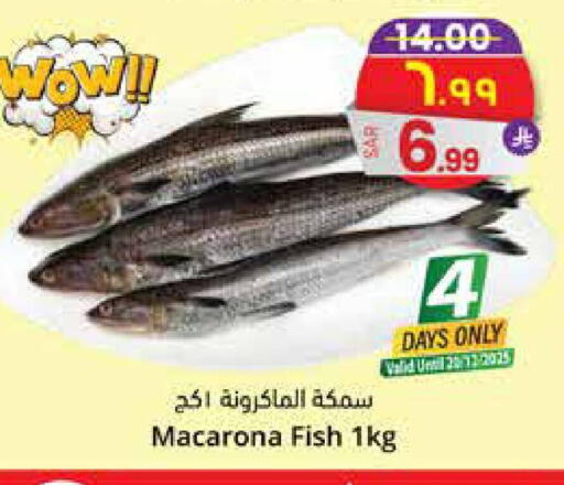 available at City Flower in KSA, Saudi Arabia, Saudi - Sakaka