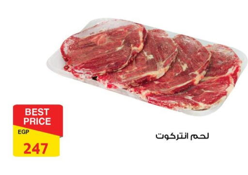 available at فتح الله in Egypt - القاهرة