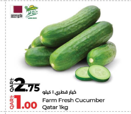 Cucumber from Qatar available at LuLu Hypermarket in Qatar - Al-Shahaniya
