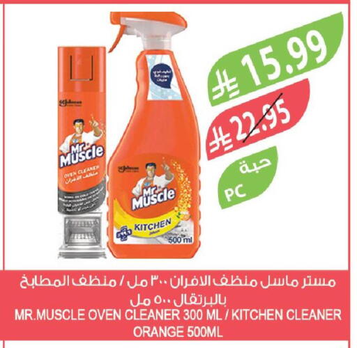 Orange available at المزرعة in مملكة العربية السعودية, السعودية, سعودية - تبوك