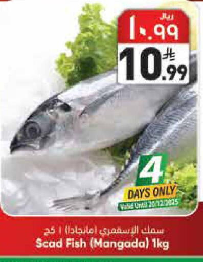 available at City Flower in KSA, Saudi Arabia, Saudi - Riyadh