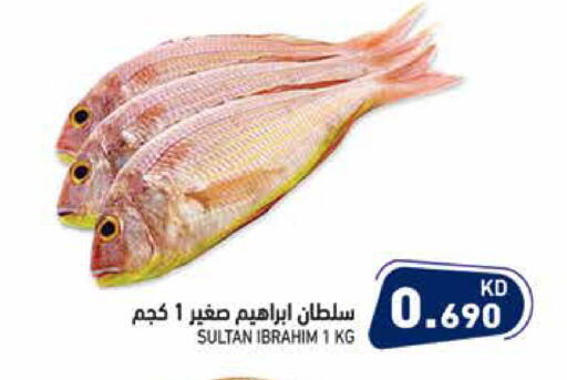 available at Ramez in Kuwait - Jahra Governorate