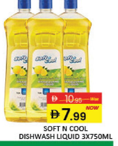 Mango available at مانجو هايبرماركت in الإمارات العربية المتحدة , الامارات - دبي