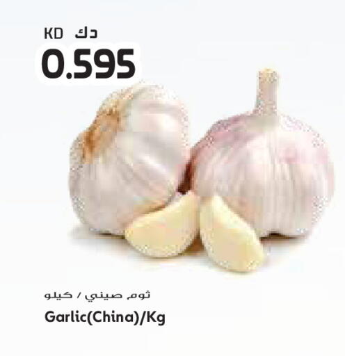 Garlic from China available at Grand Costo in Kuwait - Ahmadi Governorate