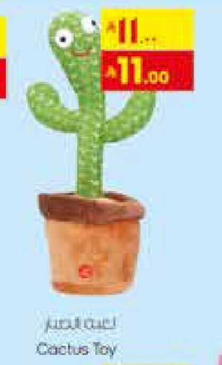 available at City Flower in KSA, Saudi Arabia, Saudi - Najran