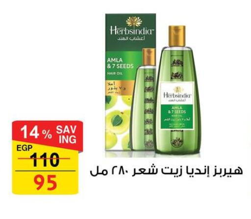 available at فتح الله in Egypt - القاهرة