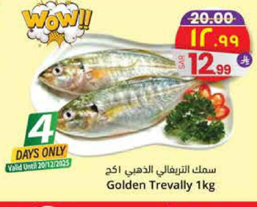 available at City Flower in KSA, Saudi Arabia, Saudi - Najran