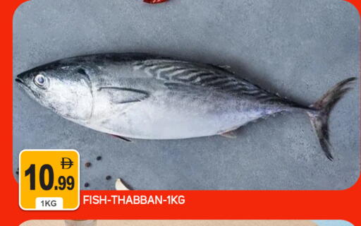 available at TALAL MARKET in UAE - Abu Dhabi