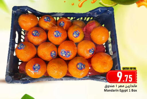 Mandarin from Qatar Egypt available at دانة هايبرماركت in قطر - الوكرة