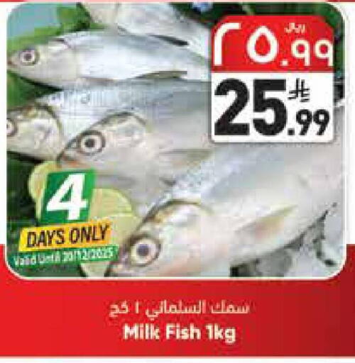 available at ستي فلاور in مملكة العربية السعودية, السعودية, سعودية - الجبيل‎