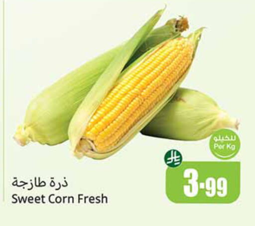 available at Othaim Markets in KSA, Saudi Arabia, Saudi - Qatif