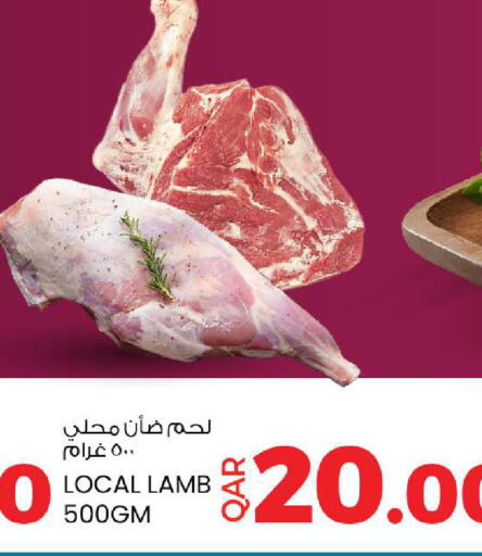 available at أنصار جاليري in قطر - الوكرة