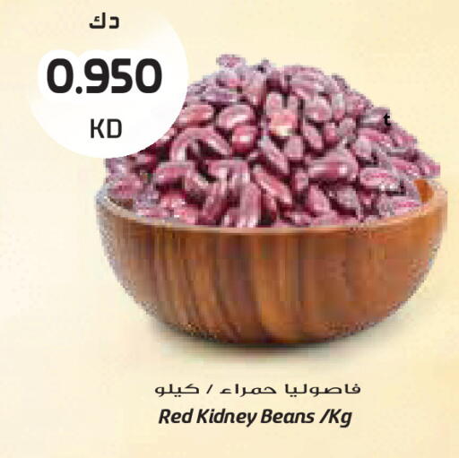 available at Grand Costo in Kuwait - Ahmadi Governorate