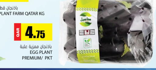 Eggplant from Qatar available at Grand Hypermarket in Qatar - Al Rayyan