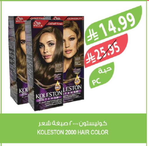 available at المزرعة in مملكة العربية السعودية, السعودية, سعودية - تبوك