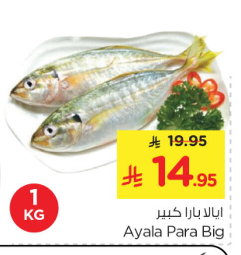 available at نستو in مملكة العربية السعودية, السعودية, سعودية - الرياض