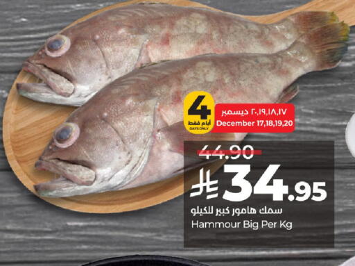available at لولو هايبرماركت in مملكة العربية السعودية, السعودية, سعودية - حائل‎