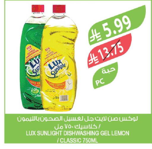 Lemon available at Farm  in KSA, Saudi Arabia, Saudi - Al-Kharj