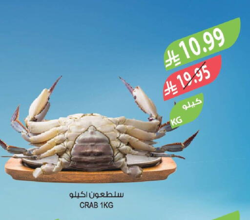 available at Farm  in KSA, Saudi Arabia, Saudi - Najran