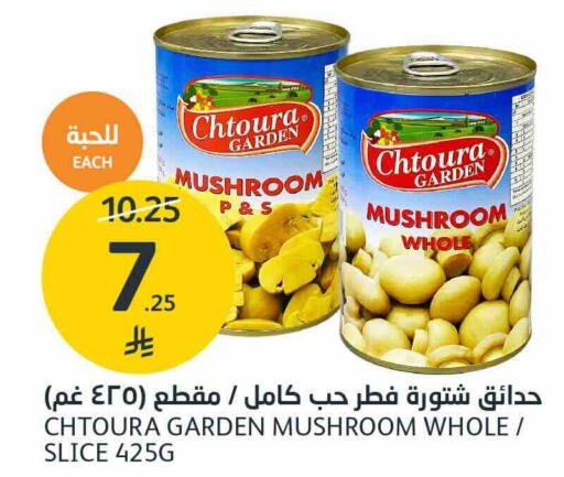 Mushroom available at مركز الجزيرة للتسوق in مملكة العربية السعودية, السعودية, سعودية - الرياض