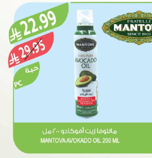 Avocado available at Farm  in KSA, Saudi Arabia, Saudi - Khafji