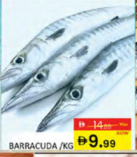 available at المدينة in الإمارات العربية المتحدة , الامارات - دبي