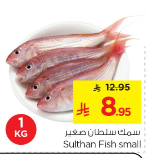 available at نستو in مملكة العربية السعودية, السعودية, سعودية - المجمعة