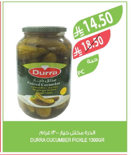 Cucumber available at المزرعة in مملكة العربية السعودية, السعودية, سعودية - جدة