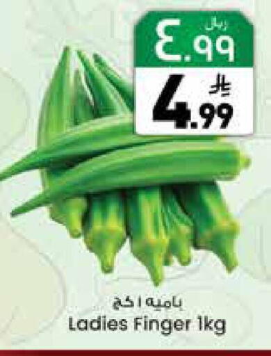 available at ستي فلاور in مملكة العربية السعودية, السعودية, سعودية - نجران