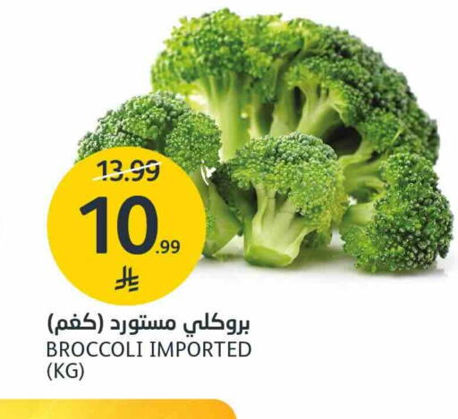 Broccoli available at AlJazera Shopping Center in KSA, Saudi Arabia, Saudi - Riyadh