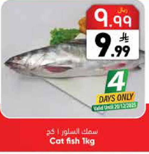 available at ستي فلاور in مملكة العربية السعودية, السعودية, سعودية - سكاكا