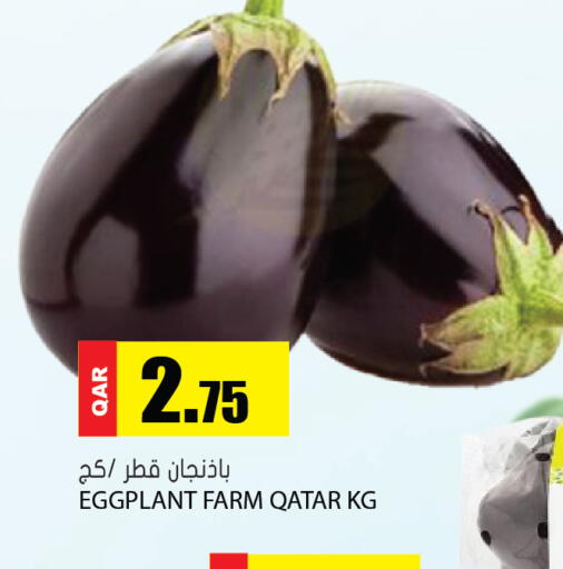 Capsicum from Qatar available at جراند هايبرماركت in قطر - الوكرة