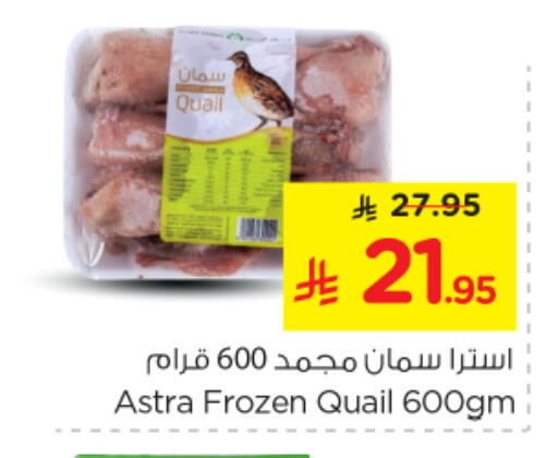 available at Nesto in KSA, Saudi Arabia, Saudi - Riyadh