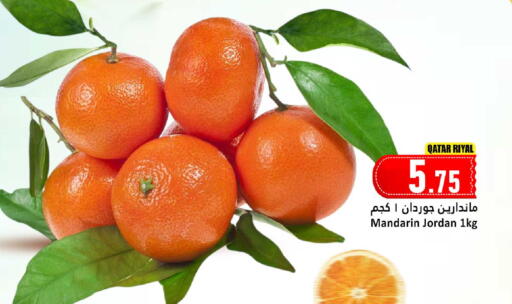 Mandarin from Qatar Jordan available at دانة هايبرماركت in قطر - الوكرة