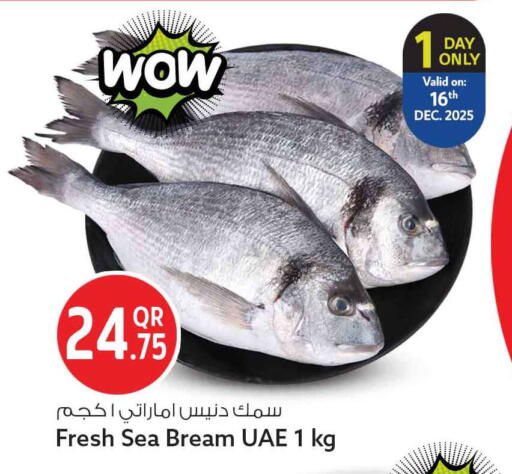 available at سفاري هايبر ماركت in قطر - الخور