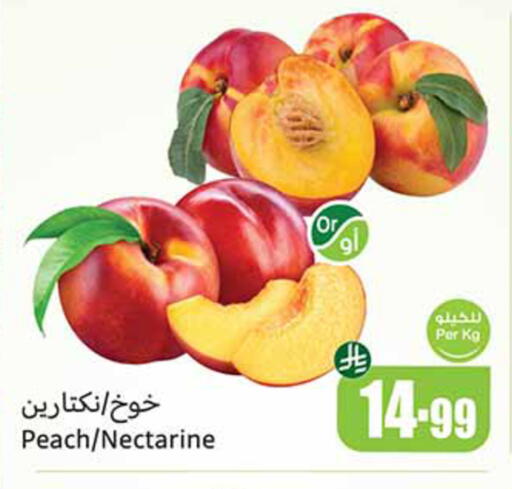 Peach Nectarine available at Othaim Markets in KSA, Saudi Arabia, Saudi - Rafha