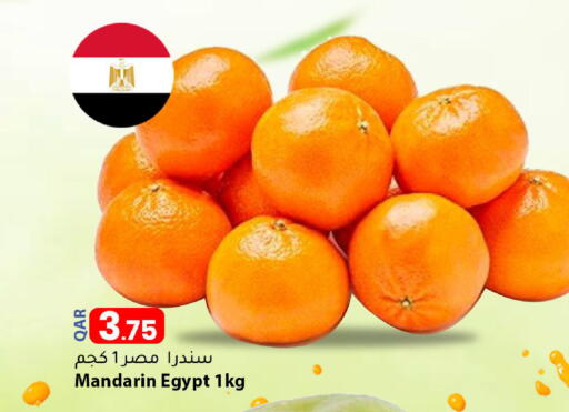 Mandarin from Egypt available at دانا ماركت in قطر - الخور