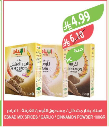 Garlic Cinnamon available at Farm  in KSA, Saudi Arabia, Saudi - Qatif