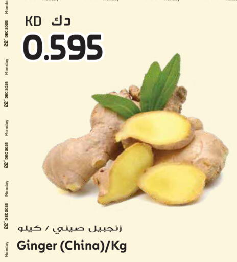 Ginger from China available at جراند هايبر in الكويت - محافظة الجهراء